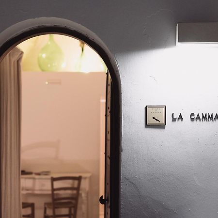 La Cammara Al Duomo Lecce Luxury Apartment Eksteriør bilde